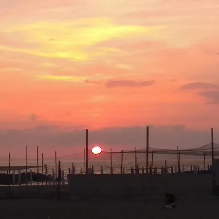 Rome Hub Camilla * Fiumicino