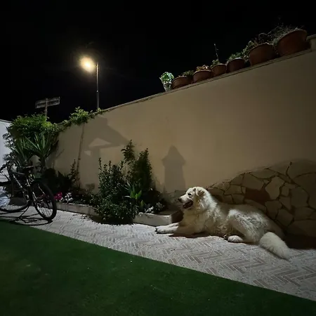 Rome Hub Camilla Fiumicino