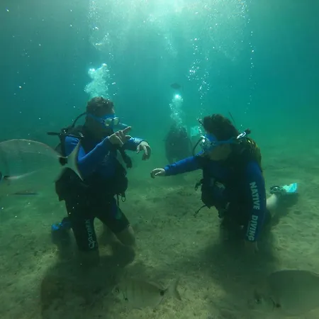 Сasa de vacaciones Rome Hub Camilla